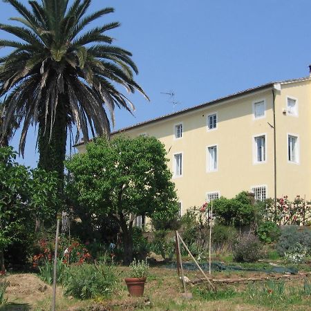 Casa Marce A "Sonno" Panzió Porcari Kültér fotó